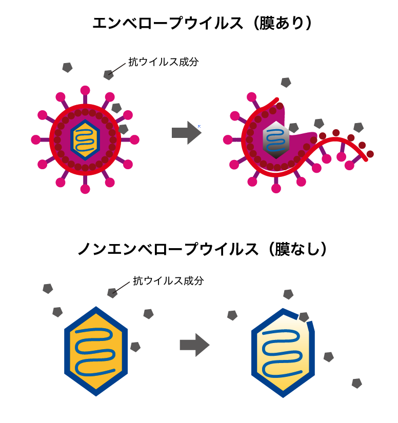 抗ウイルス機能が働きやすいウイルスの種類